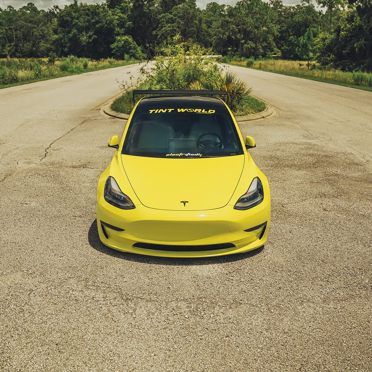 Thraxsquad's Tesla Model 3